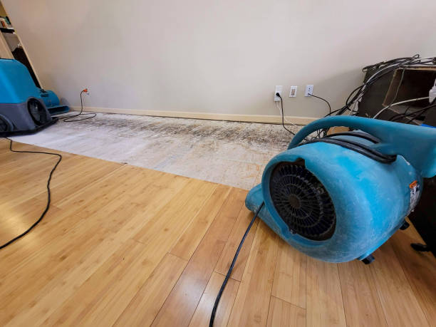 Professional Structural Drying technician working in Clarkrange, TN